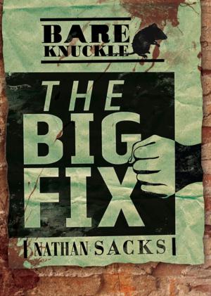 Cover of the book The Big Fix by Lisa Bullard