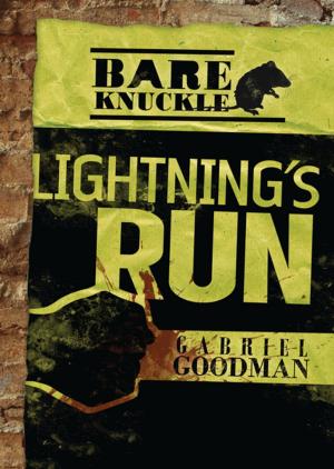 Cover of the book Lightning's Run by Connie Goldsmith