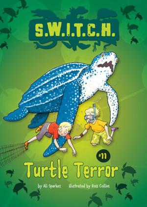 Book cover of Turtle Terror