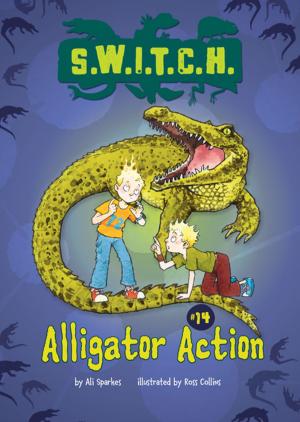 Cover of the book Alligator Action by Sheila Anderson