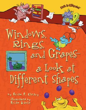 Book cover of Windows, Rings, and Grapes — a Look at Different Shapes