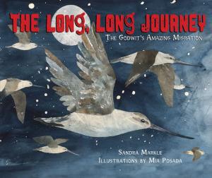 Cover of the book The Long, Long Journey by Kathy Allen