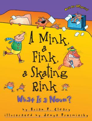 Cover of the book A Mink, a Fink, a Skating Rink by Jon M. Fishman