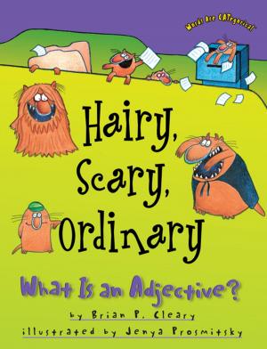 Cover of the book Hairy, Scary, Ordinary by Lisa Wheeler