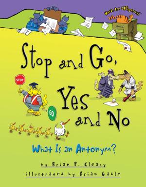 Cover of the book Stop and Go, Yes and No by Lisa Bullard