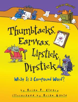 Cover of the book Thumbtacks, Earwax, Lipstick, Dipstick by Richard Sebra