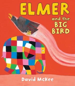 Book cover of Elmer and the Big Bird