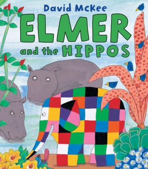 Cover of the book Elmer and the Hippos by Sean Taylor