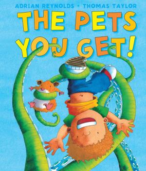 Cover of the book The Pets You Get by David McKee