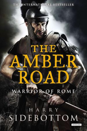 Cover of the book The Amber Road by Erica S. Perl