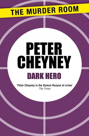 Book cover of Dark Hero