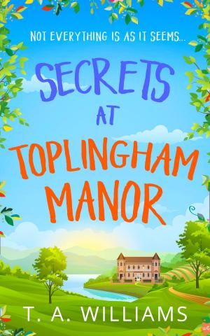 Cover of the book Secrets at Toplingham Manor by Steve Jones
