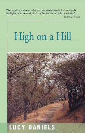 bigCover of the book High on a Hill by 