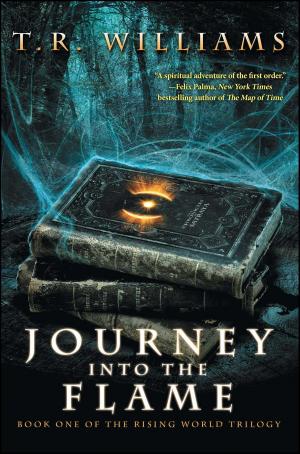 Book cover of Journey Into the Flame