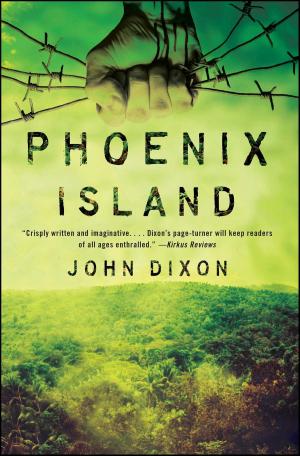 Cover of the book Phoenix Island by Amanda Downum