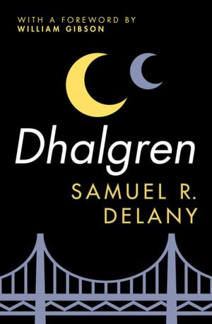 bigCover of the book Dhalgren by 