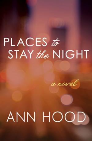 Cover of the book Places to Stay the Night by Ruth Rendell