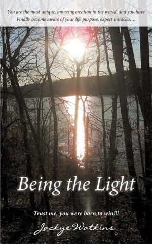Cover of the book Being the Light by B. D. Rasmussen