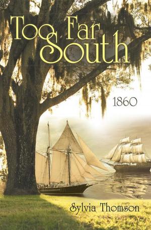 Cover of the book Too Far South by Meryl Fishman