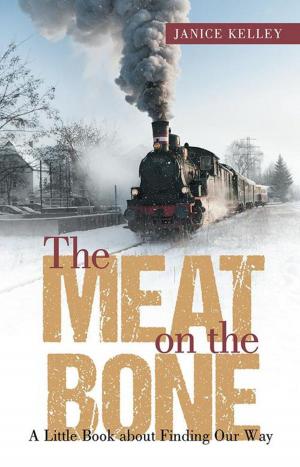 Cover of the book The Meat on the Bone by Sidney Kaplan M.D. F.A.C.S