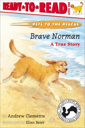 Cover of the book Brave Norman by Melissa Wiley