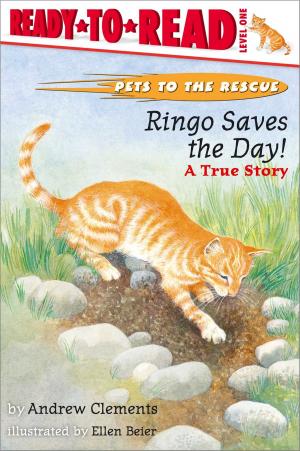 Cover of the book Ringo Saves the Day! by Tomie dePaola