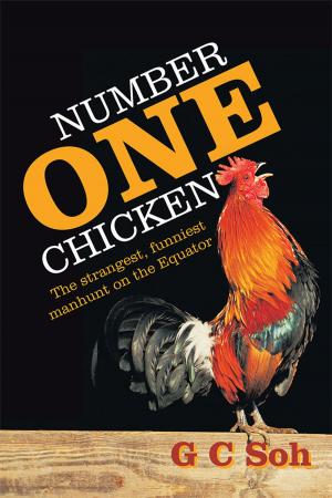 Cover of the book Number One Chicken by Asad Ali