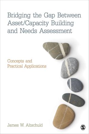 Cover of the book Bridging the Gap Between Asset/Capacity Building and Needs Assessment by Dr. James V. (Vernon) Spickard