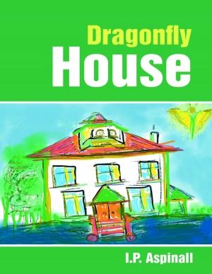 Cover of the book Dragonfly House by Ronnie Bo