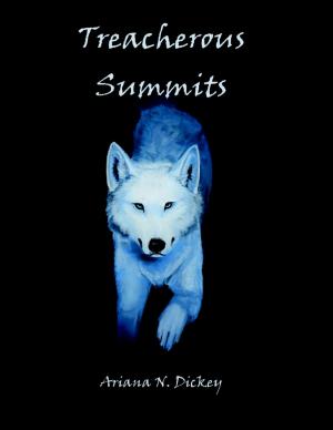Cover of the book Treacherous Summits by Lindsay Tomlinson