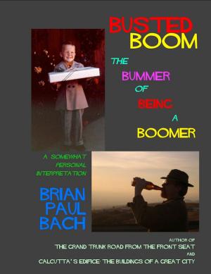 Cover of the book Busted Boom by Kooch N. Daniels