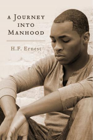 Cover of the book A Journey into Manhood by Chance McLin, Ph.D.