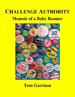 Cover of the book Challenge Authority: Memoir of a Baby Boomer by Karen Frazier Romero