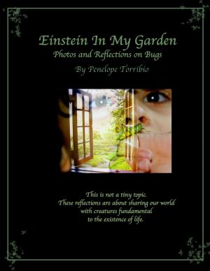 Cover of the book Einstein in My Garden by Bill Evans