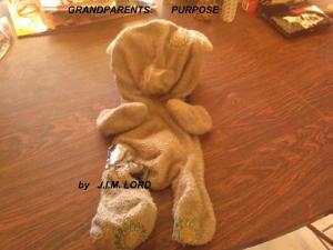 Cover of the book Grandparents: Purpose by Carla Shaffer Evans