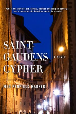 Cover of the book Saint-Gaudens Cypher by Max Andrew Dubinsky