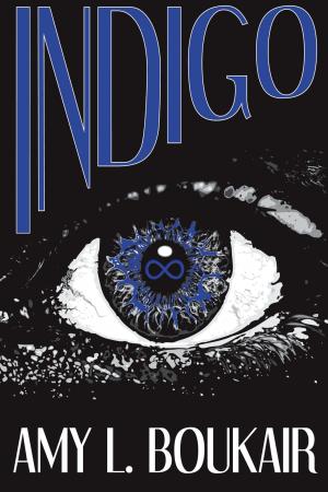 Cover of the book Indigo by Stephanie M. Hamilton