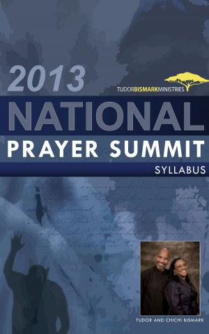 Cover of the book 2013 National Prayer Summit Syllabus by Mr. Bonzai, Bruce Lyon