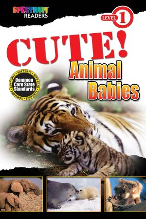 Cover of the book CUTE! Animal Babies by Teresa Domnauer