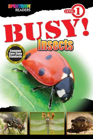 Book cover of BUSY! Insects