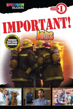 Cover of the book IMPORTANT! Jobs by Brighter Child, Carson-Dellosa Publishing