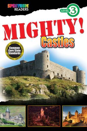 Cover of the book MIGHTY! Castles by Carol Ottolenghi