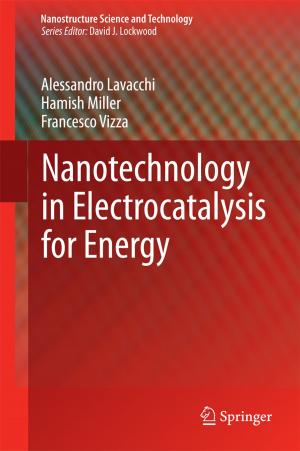 Cover of the book Nanotechnology in Electrocatalysis for Energy by Jaap E. Wieringa, Koen H. Pauwels, Peter S.H. Leeflang, Tammo H.A. Bijmolt