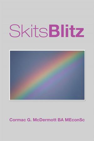Cover of the book Skitsblitz by Susan E. Durant