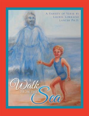 Book cover of A Walk from the Sea