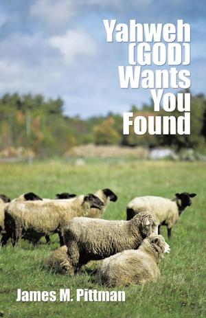 Cover of the book Yahweh (God) Wants You Found by STACY - ANN VOUSDEN.
