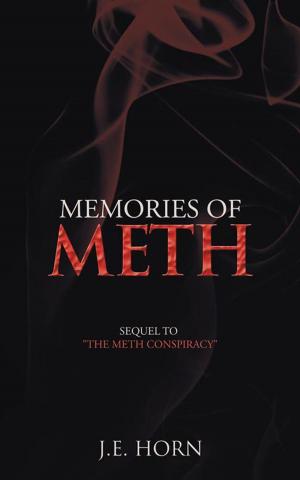 Cover of the book Memories of Meth by Danny L Davis