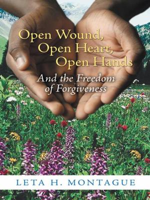 bigCover of the book Open Wound, Open Heart, Open Hands by 