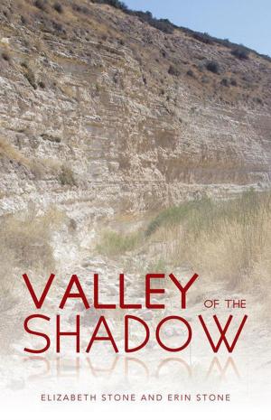 Cover of the book Valley of the Shadow by Vanessa Ebling