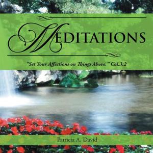 Cover of the book Meditations by Shannon Stephens